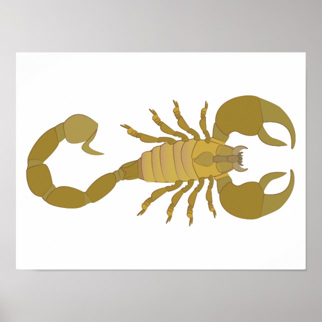 Poster Escorpião (Frente)