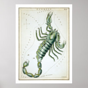 Poster Escorpião Astrologia Zodíaco