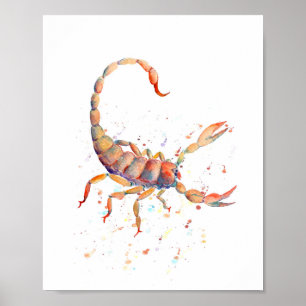 Poster Escorpião da aguarela