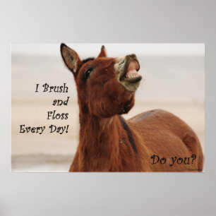 Poster Escove e Floss seus dentes diariamente
