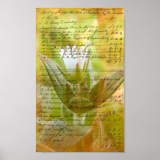 Poster Escrita manual da Flor Branca Bloqueada (Frente)