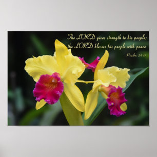 Poster Escritura cristã do verso da bíblia do 29:11 do