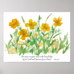 Poster Escritura Peter 3:18 Bíblia Verse California Poppy
