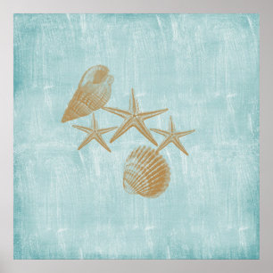 Poster Escudos da praia