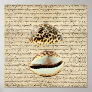Poster Escudos do Cowrie