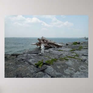 Poster Escultura do Monstro do Lago Wooden