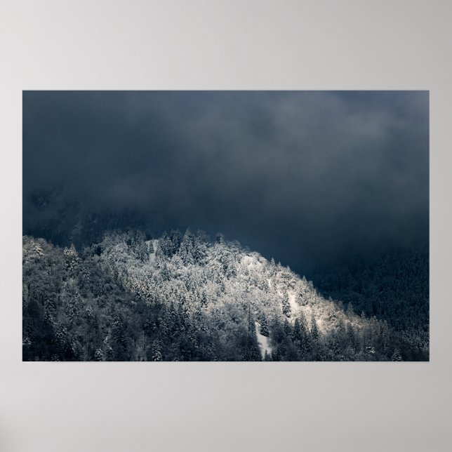 Poster Escuridão e sol sobre a floresta de neve (Frente)