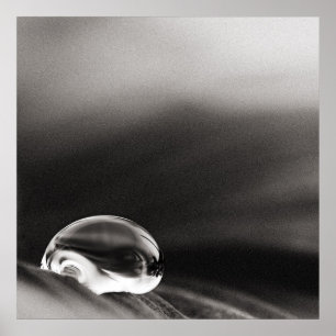 Poster escuro da chuva