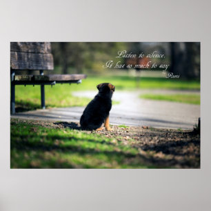 Pôster Escute o silêncio