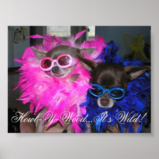 Pôster Ese e Lola Go Hollywood