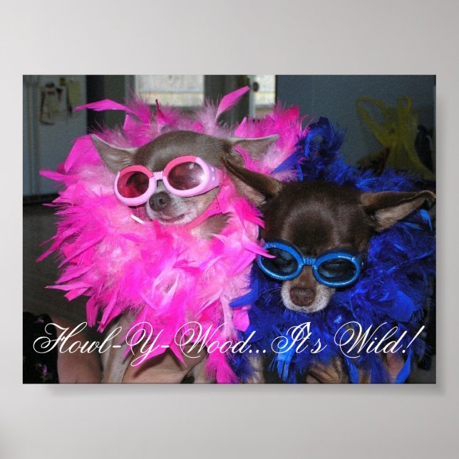 Pôster Ese e Lola Go Hollywood (Frente)