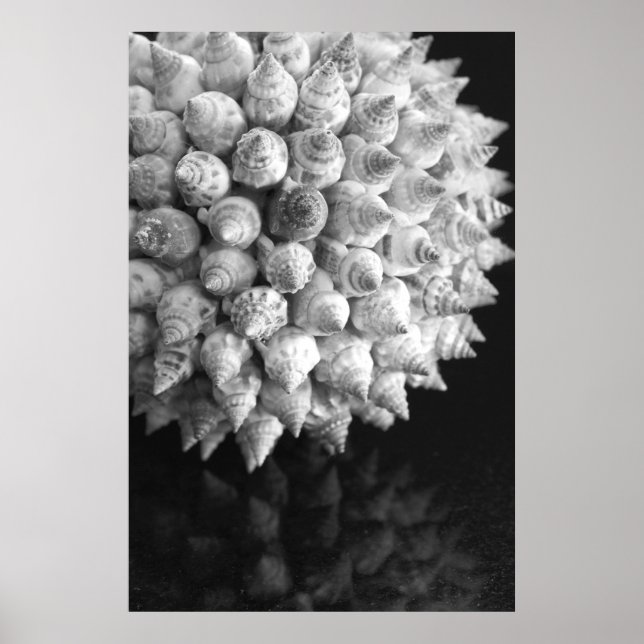 Poster Esfera de Shell (Frente)