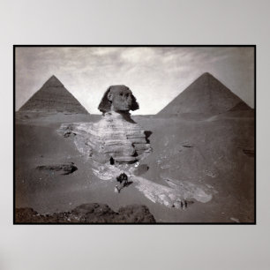 Poster Esfinge excelente da Escavação de Giza com Pirâ