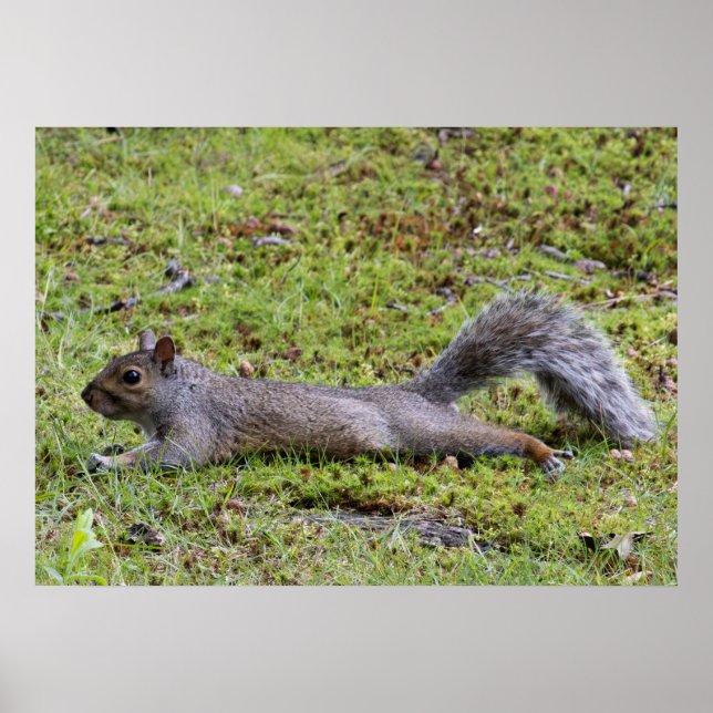 Poster Esfriando (Frente)