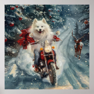 Poster Eskimo Americano Cão Andando na Motocicleta