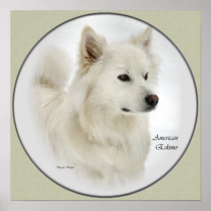 Pôster Eskimo Americano Dog Difts Art