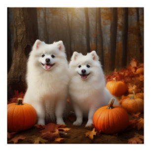 Pôster Eskimo Americano Puppy Autumn Delight Pumpkin