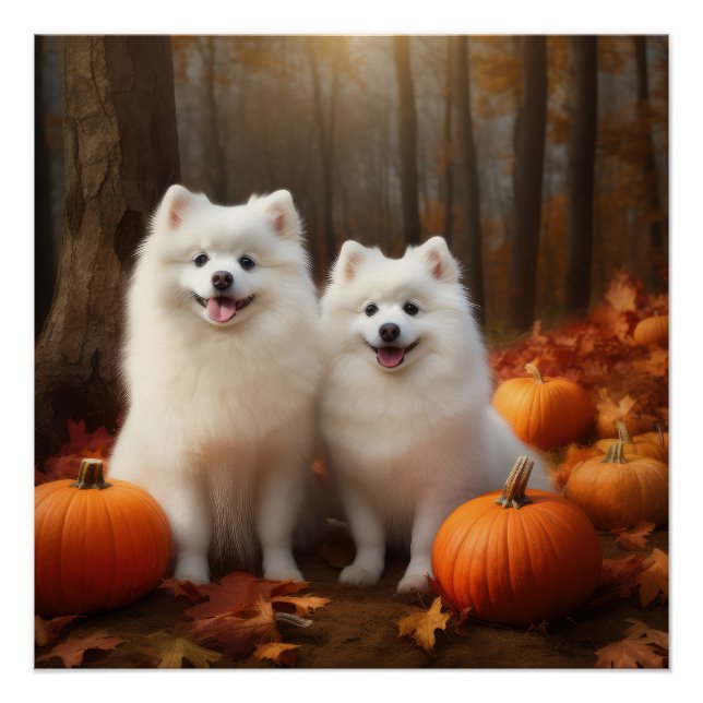 Pôster Eskimo Americano Puppy Autumn Delight Pumpkin (Frente)