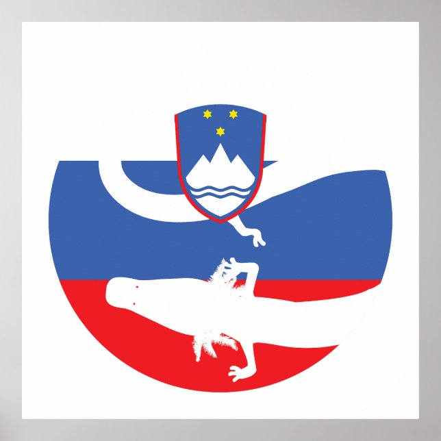 Poster Eslovênia Olm Bandeira Nacional Eslovena (Frente)