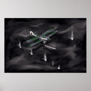 Pôster Espadarte II "Silverfish"