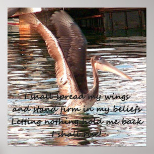 Pôster Espalhe suas asas_