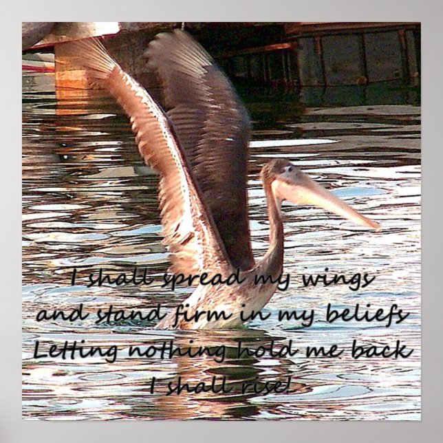 Pôster Espalhe suas asas_ (Frente)