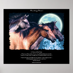 Poster espanhol selvagem da arte & do poema dos