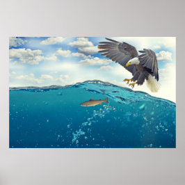 Poster Espantosa águia-branca-rabo-branco a atacar peixes