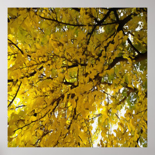 Poster Espantoso Folhas de outono Vibes Abstrato