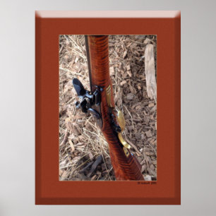 Poster Especial MuzzleLoaders