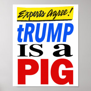 Poster Especialistas Concordam que Trump é um Porco