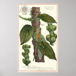 Poster Especiarias de Comidas de vindima, pimenta preta