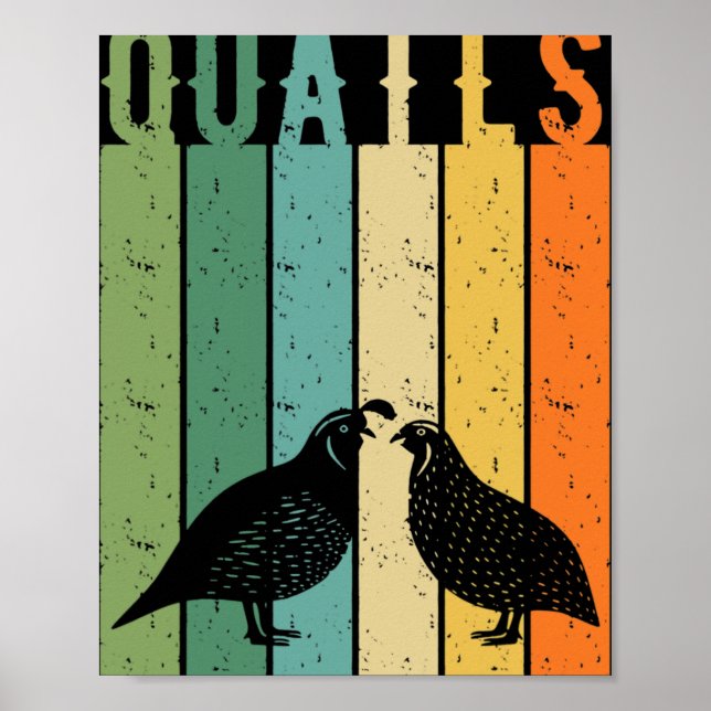 Poster Espécies de aves de codorna Ornamental criador de  (Frente)