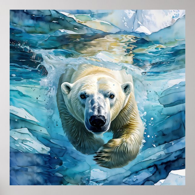 Poster Espelhamento Ártico: O Monarca Nadador (Frente)