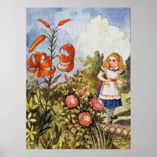 Pôster Espelho Alice Cor Completa