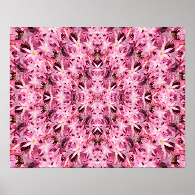 Pôster Espelhos de Amaryllis.... (Frente)