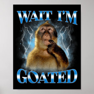 Poster Espera eu sou Deus Meme de macaco pensativo engraç