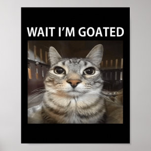 Poster Espera Eu Sou Goated Gato Bobo Meme