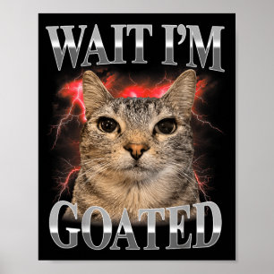 Poster Espera Eu Sou Goated Gato Silly Gato Meme Engraçad