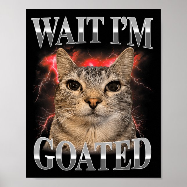 Poster Espera Eu Sou Goated Gato Silly Gato Meme Engraçad (Frente)