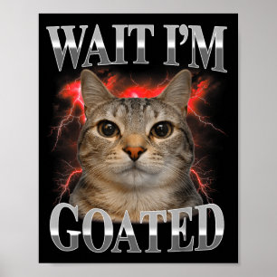 Poster Espera gato lendário bobo meme de gato engraçado h