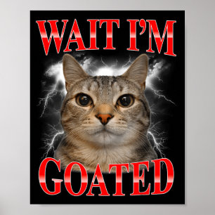 Poster Espera gato lendário bobo meme de gato engraçado h