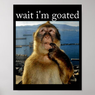 Poster Espera, sou Goated Macaco Pensativo Divertido Meme