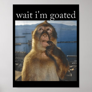 Poster Espera, sou Goated, macaco pensativo engraçado mem