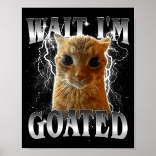 Poster Espera, sou lendário meme engraçado de gato olhand