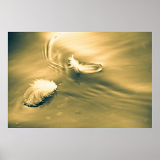 Pôster Esperança é a coisa com penas