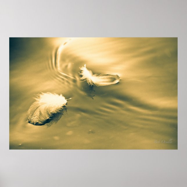 Pôster Esperança é a coisa com penas (Frente)