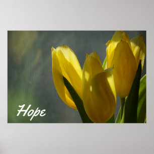 Poster Esperança - Flores Amarelas das Tulipas