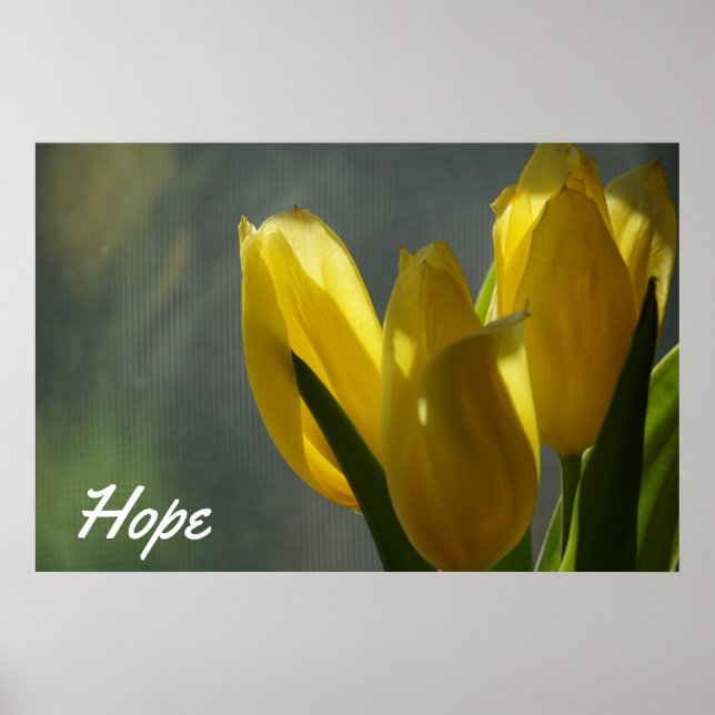 Poster Esperança - Flores Amarelas das Tulipas (Frente)
