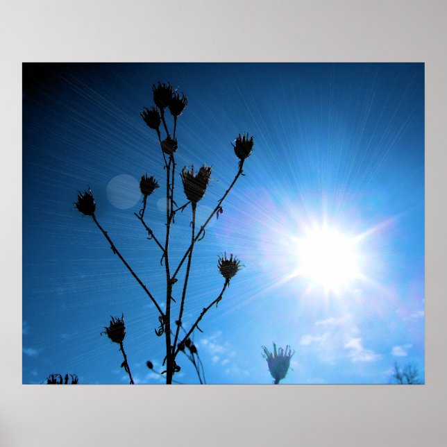 Pôster Esperança vencedora do Prêmio TBA (Frente)